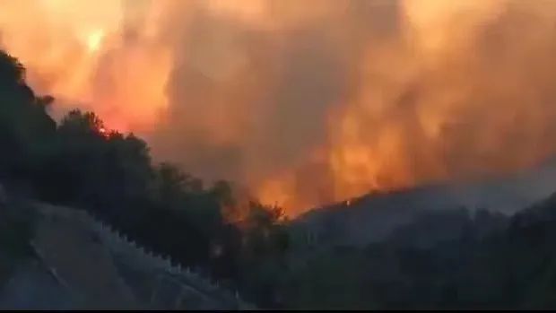 山火SOS，“十八般武艺”的TA们请求出战