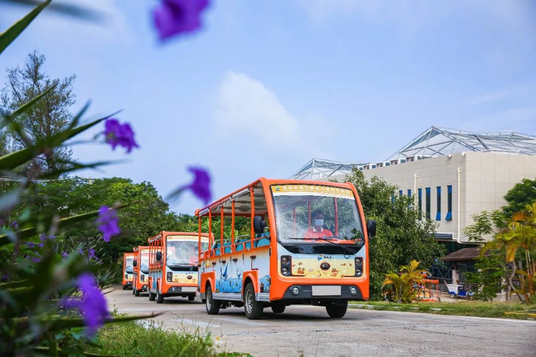 开放啦！壹定发橙色骑士团已就位，与您相约涠洲岛！