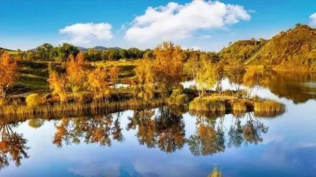 只看一眼就“沦陷”，这个秋天，来多伦湖邂逅第一波秋色！