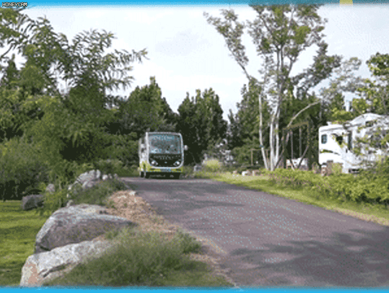 如何定义一辆高品质观光车？