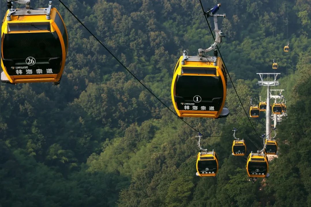 所有郑州人免费了！壹定发观光车带你嗨玩竹海野生动物园！