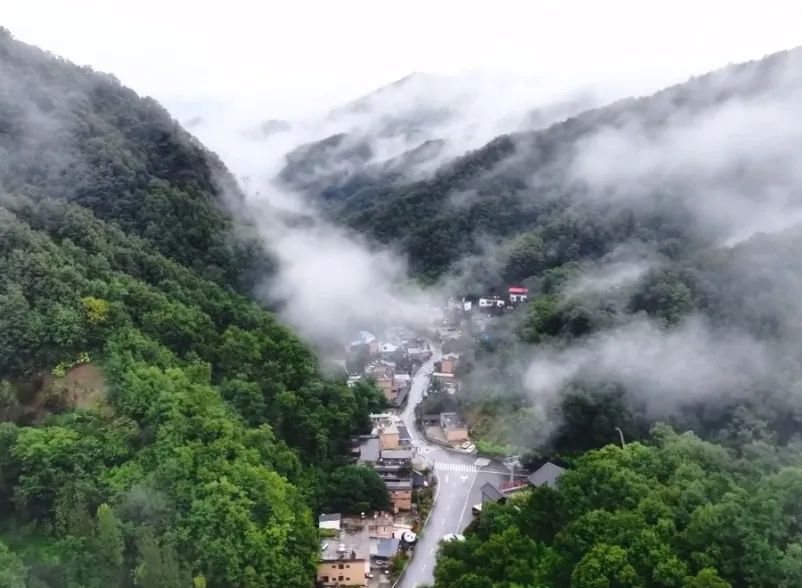 所有郑州人免费了！壹定发观光车带你嗨玩竹海野生动物园！