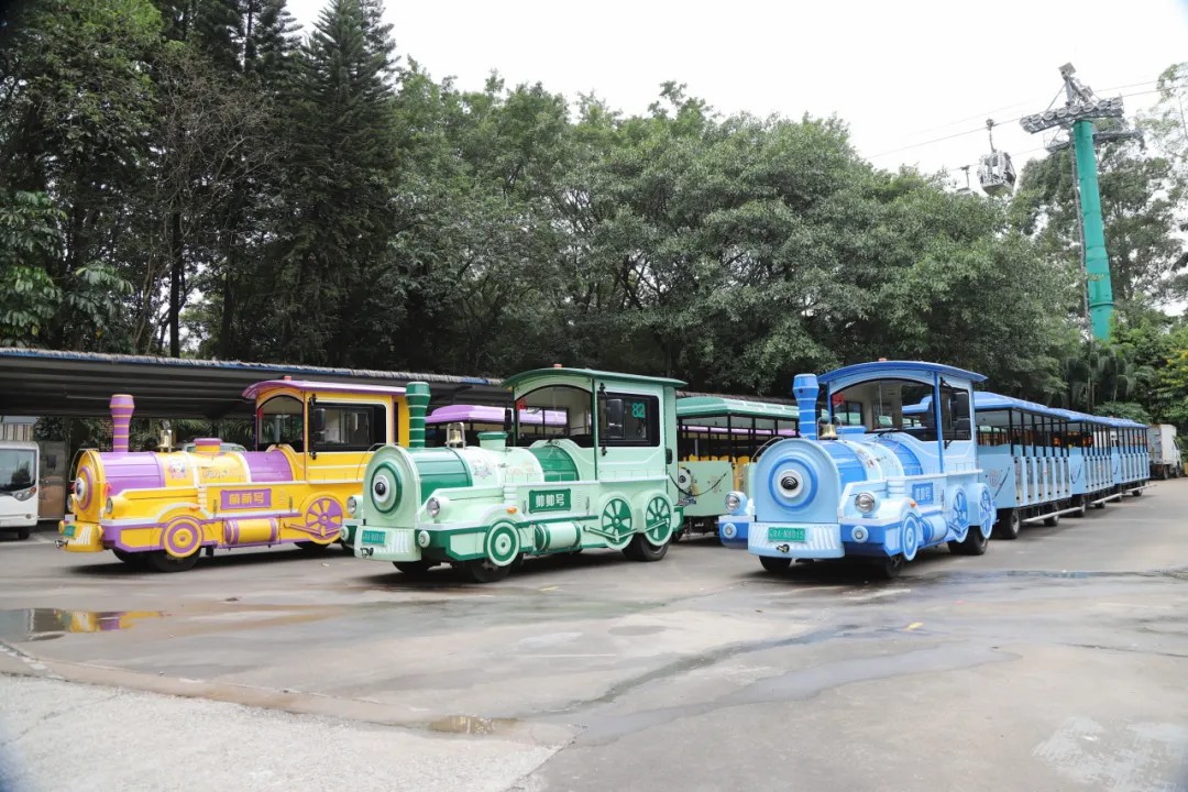 4万公里 ，100%出勤率！壹定发观光车助力长隆打造沉浸式生态之旅