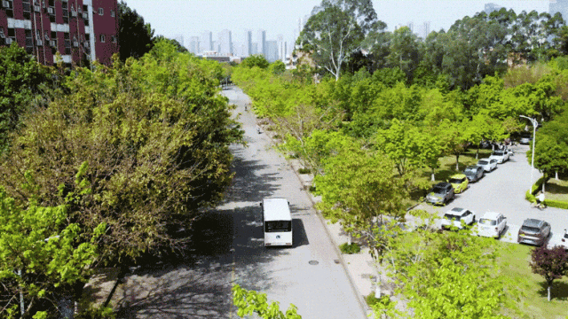 背后“奥秘”解读 | 壹定发校园通勤车如何助力校园通勤安全高效运营？